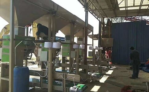 立式包裝機(jī) 立式包裝機(jī)